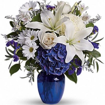 <div class="m-pdp-tabs-description">
<div id="mark-1" class="m-pdp-tabs-marketing-description">In this arrangement, the serenity of the color blue along with the purity of intention symbolized by white will express your feelings wonderfully.</div>
</div>
<p id="arrngDescp">Beautiful blooms such as blue hydrangea, crème roses, white lilies and alstroemeria along with yellow and white chrysanthemums, eucalyptus, limonium and more are beautifully arranged in a dazzling blue vase.</p>