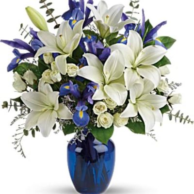 <div class="m-pdp-tabs-description">
<div id="mark-2" class="m-pdp-tabs-marketing-description">As open and bright as a winter's sky, this exquisite mix of white and blue blossoms would make a stunning birthday gift, or a superb Hanukah present for a favorite friend or family member. An eye-catching selection.</div>
</div>
<p id="arrngDescp">White Asiatic lilies, white spray roses and dark blue iris - accented with greenery - are delivered in a glass vase.</p>