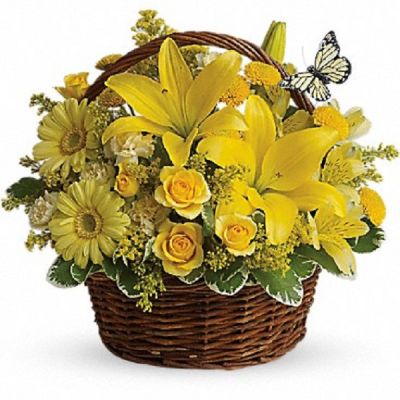 <div class="m-pdp-tabs-description">
<div id="mark-1" class="m-pdp-tabs-marketing-description">Wishes do come true, by the basketful, actually. This delightful arrangement is so full of sunny blossoms, it even includes a pretty yellow butterfly who obviously feels right at home, basking in the warmth.</div>
</div>
<p id="arrngDescp">Brilliant yellow spray roses, asiatic lilies, miniature gerberas, carnations, alstroemeria, button spray chrysanthemums and delightful greenery are joined by a delicate butterfly in an oval basket. It's a basket of wonder and wishes!</p>