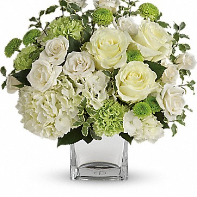 <div class="m-pdp-tabs-description">
<div id="mark-1" class="m-pdp-tabs-marketing-description">Let your love shine! No matter the recipient or the occasion, this stunning monochromatic mix of hydrangea and roses, hand-delivered in a silver cube, is destined to delight and inspire.</div>
</div>
<p id="arrngDescp">This bouquet of blooms includes white hydrangea, white roses, white spray roses, green carnations, green button spray chrysanthemums and pitta negra.</p>